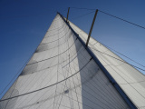 88 qm Segelfläche
