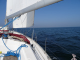 DSC02397-Kopie