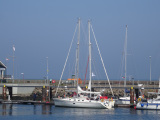 DSC02414-Kopie