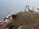 DSC02432-Kopie