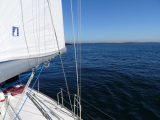 DSC02458-Kopie